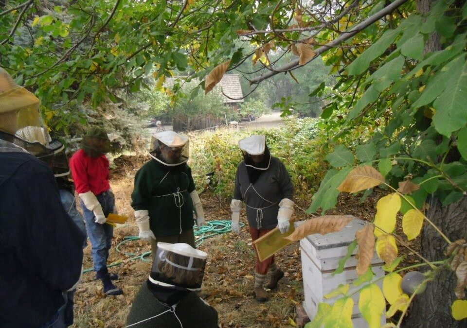 PUTTING FOOD BY AND AN INTRODUCTION TO BEEKEEPING