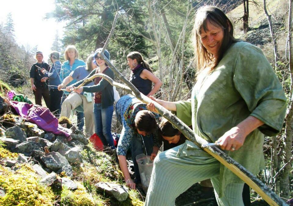Medicines from the Forest ~ a Week-long Intensive in McCall