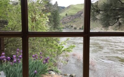 Color in the Canyon, a Retreat for Artists