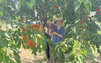 Jammin’ It and Some Jelly, Too! 