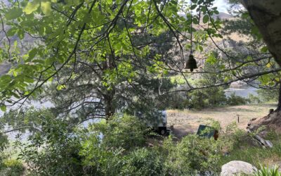 Yoga Spring into Summer Recharge Retreat