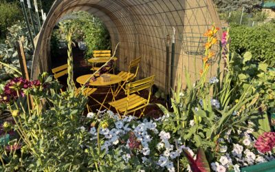 Garden Produce and Tea for Two